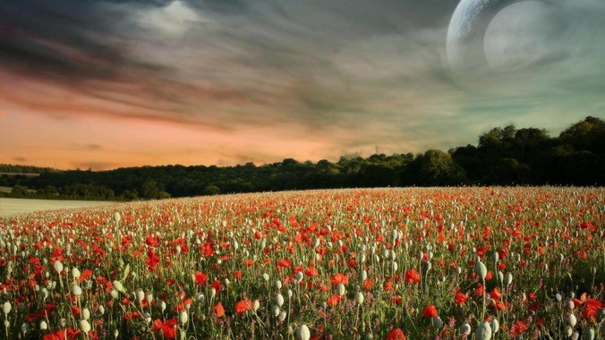 曾经的班花，现在还多少人惦记？